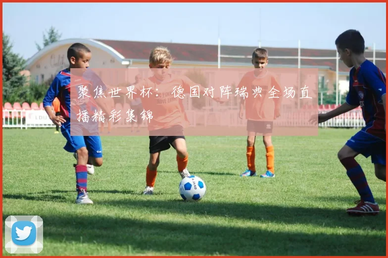 聚焦世界杯：德国对阵瑞典全场直播精彩集锦