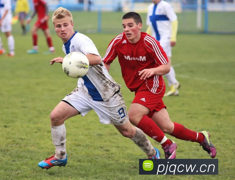 多媒体互动体验